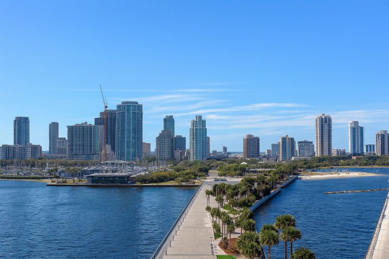 Best Tub To Shower Conversion pros in Saint Petersburg, FL