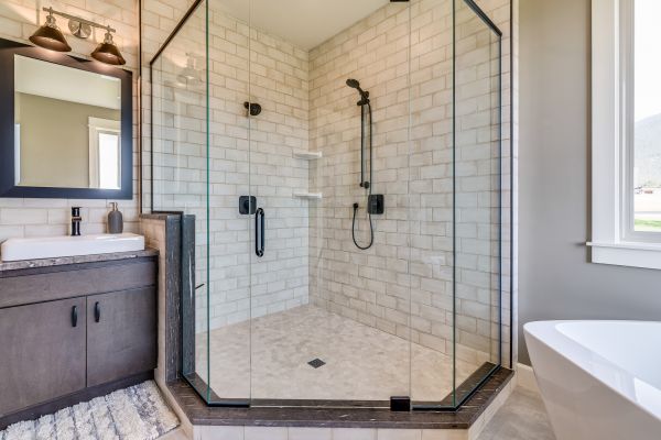Bathroom Modification in Tarpon Springs