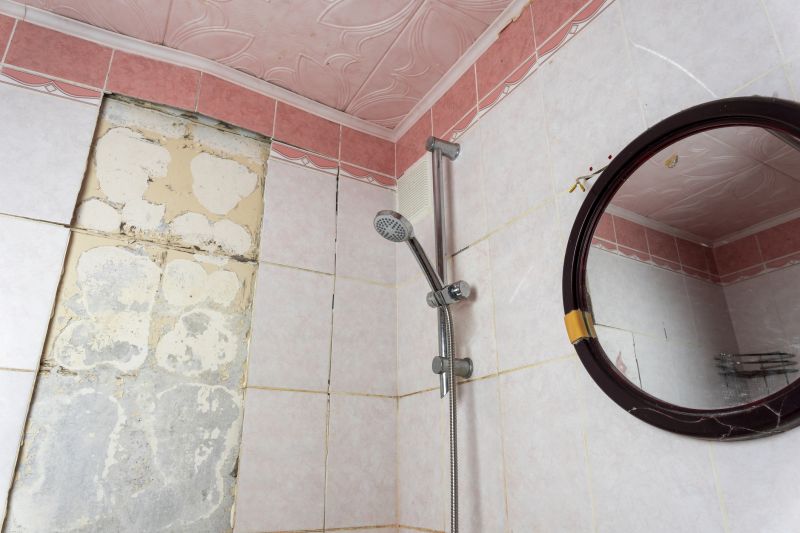 Top Shower Remodeling Companies in Odessa, FL